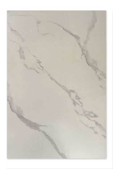 Immagine di PANNELLI IN POLICARBONATO EFFETTO MARMO CARRARA