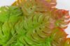Immagine di PIANTE ARTIFICIALI RAMO MONSTERA 
