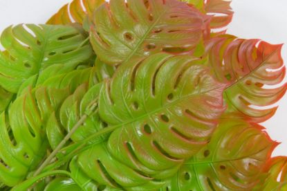 Immagine di PIANTE ARTIFICIALI RAMO MONSTERA 