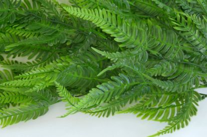 Immagine di PIANTE ARTIFICIALI PIANTA FELCE