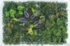 Immagine di PANNELLO DECORATIVO EFFETTO PIANTE BOSCO EFFETTO FELCE FOGLIE VIOLA/VERDE