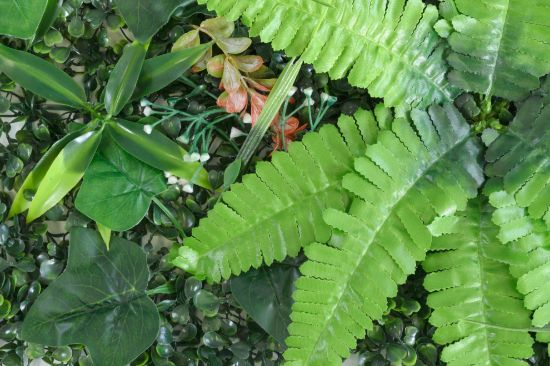 Immagine di PANNELLO DECORATIVO EFFETTO PIANTE BOSCO FELCE MONSTERA FOGLIE ROSSE 